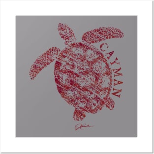 Cayman Sea Turtle Posters and Art